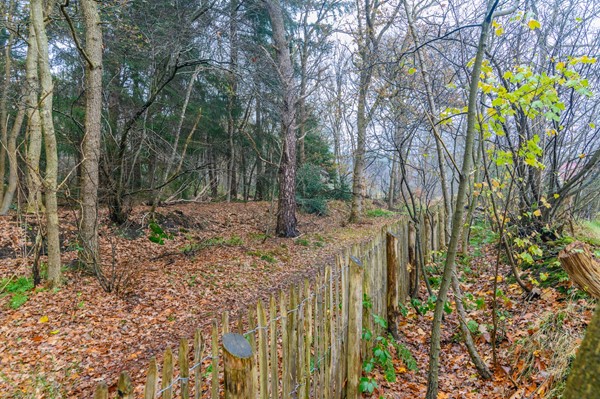 Medium property photo - Bergweg 76R472, 8336 MC Baars